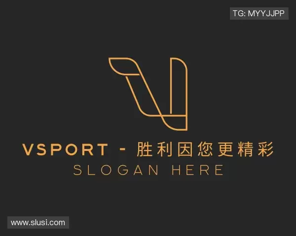 了解VSport