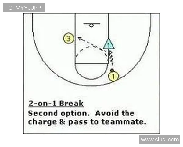 南京排球队快攻战术分析与表现评估探讨